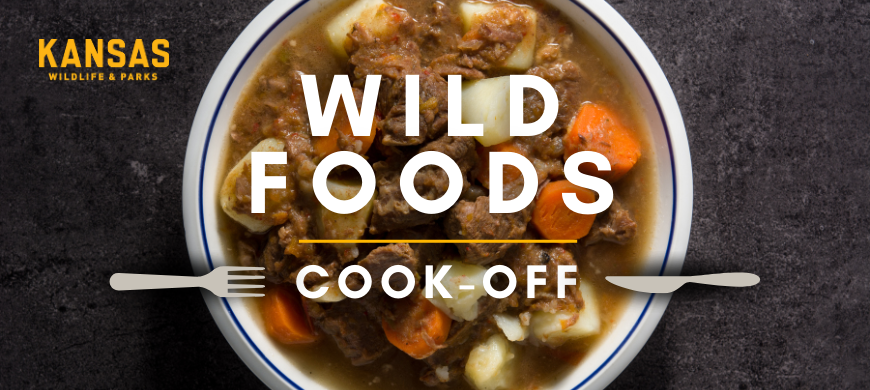 Wild Foods Competition