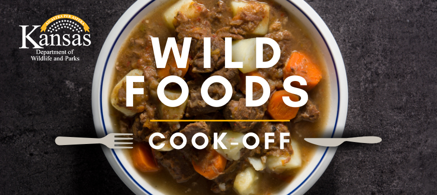 Wild Foods Competition