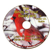 Birds in Your Backyard
