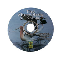 The Shorebirds of KS